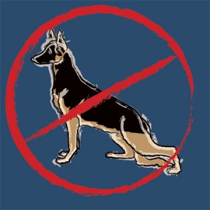 xtreem extreme ski-slope GSD